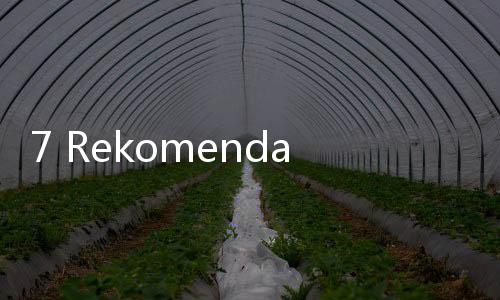 7 Rekomendasi Camilan Sehat, Bekal Perjalanan Mudik