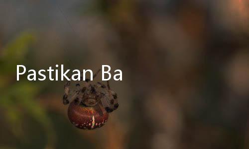Pastikan Bahan Pangan Selama Ramadhan Stabil, Anies: Harga Beras Justru Turun